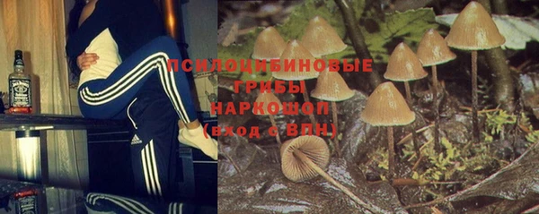 ГАЛЛЮЦИНОГЕННЫЕ ГРИБЫ Ельня