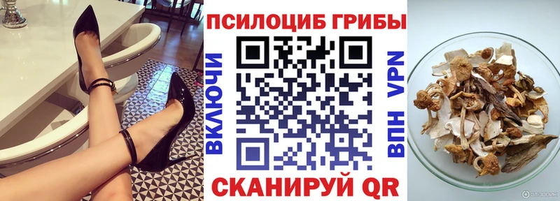 цены наркотик  Гагарин  Псилоцибиновые грибы Cubensis 